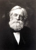 CFH c1915