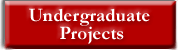 Undergraduate Projects